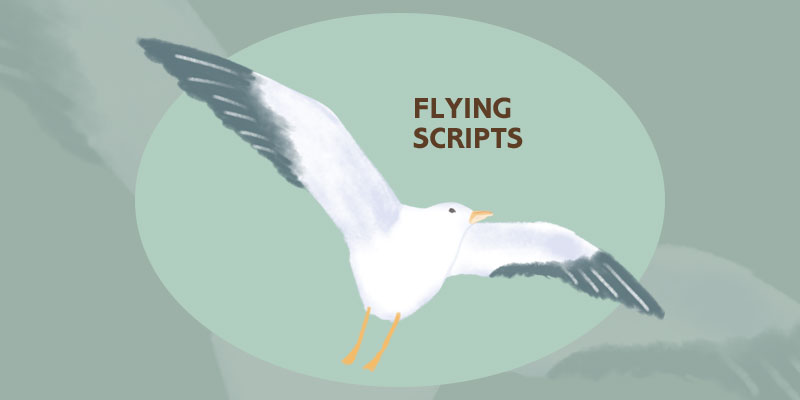 Flying Scripts